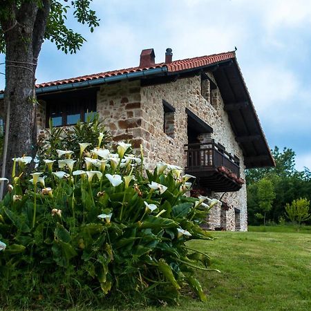 Apartamentos Rurales Larrago Бустурия Экстерьер фото